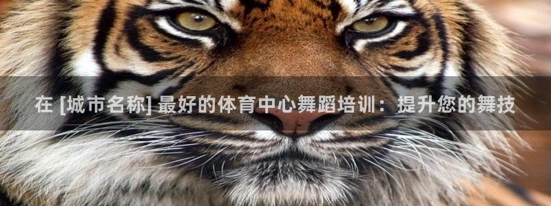 欧陆娱乐官网网址是什么：在 [城市名称] 最好的体育