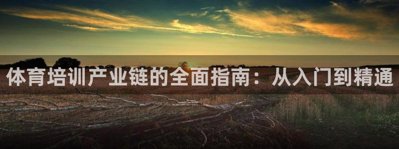 欧陆注册码：体育培训产业链的全面指南：从入门到精通
