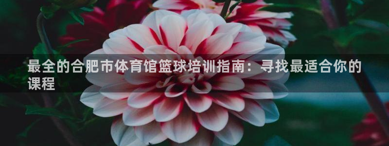 欧陆娱乐总代理是谁：最全的合肥市体育馆篮球培训指南：