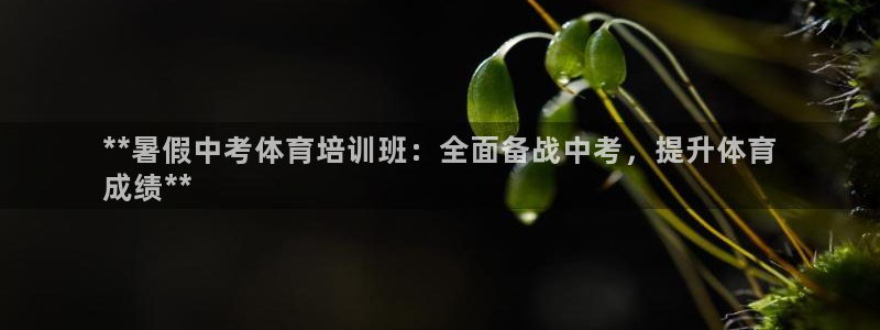 欧陆娱乐代理多少个点位啊：**暑假中考体育培训班：全