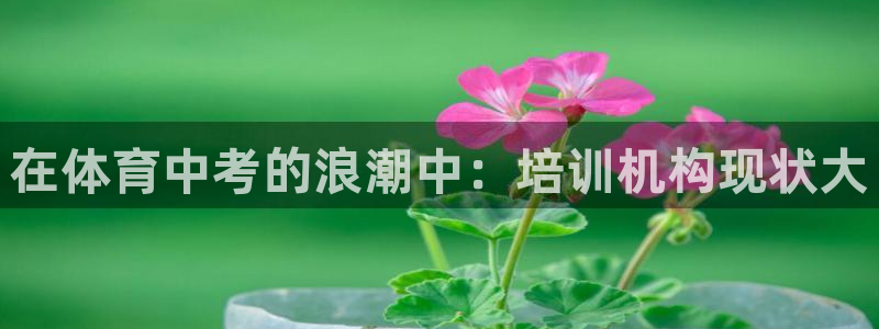 欧陆娱乐平台咋样赚钱的：在体育中考的浪潮中：培训机构