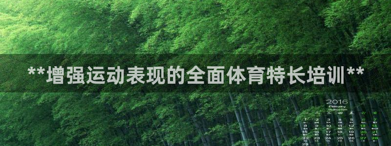 欧陆娱乐总代：**增强运动表现的全面体育特长培训**