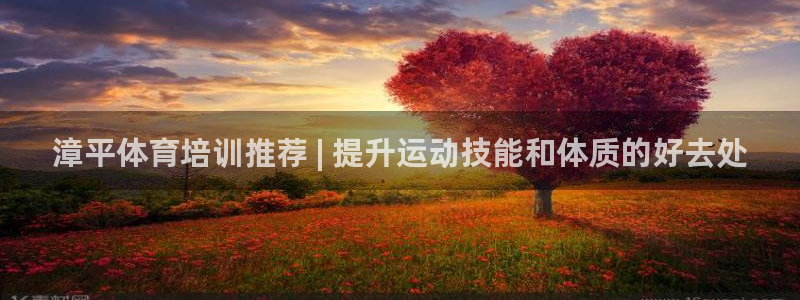 欧陆娱乐app打不开怎么回事儿：漳平体育培训推荐 |