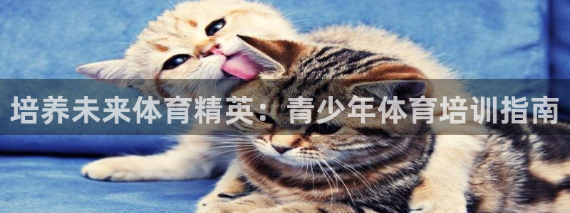 欧陆娱乐怎么注册帐号登录：培养未来体育精英：青少年体