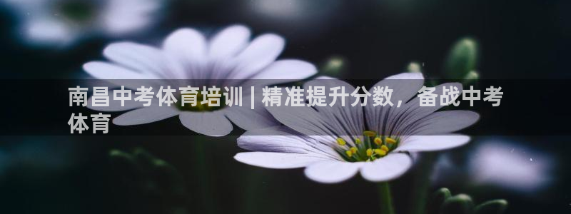 欧陆娱乐官网下载安装苹果：南昌中考体育培训 | 精准