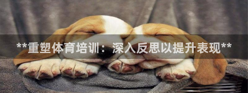 欧陆娱乐是那个旗下的品牌：**重塑体育培训：深入反思