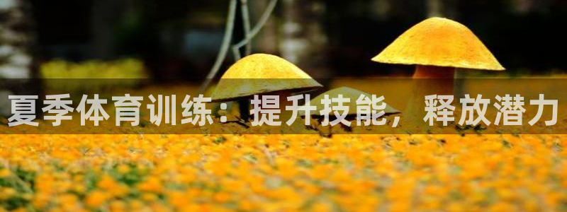 欧陆娱乐怎么注册账号啊：夏季体育训练：提升技能，释放