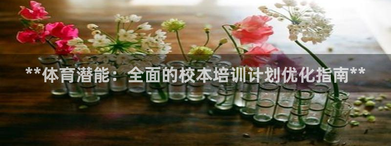欧陆娱乐微信：**体育潜能：全面的校本培训计划优化指