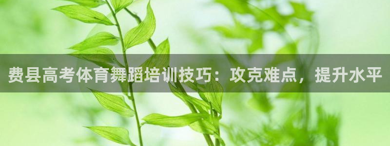 欧陆娱乐有限公司招聘：费县高考体育舞蹈培训技巧：攻克
