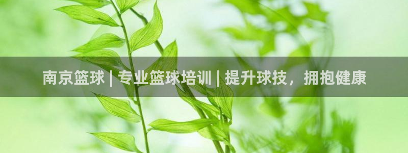 欧陆娱乐挂机项目有哪些：南京篮球 | 专业篮球培训 