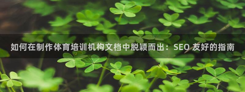 欧陆娱乐平台咋样赚钱：如何在制作体育培训机构文档中脱