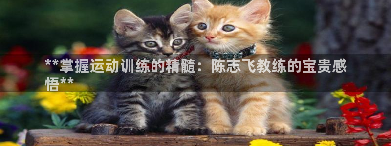 欧陆娱乐注册链接安全吗是真的吗：**掌握运动训练的精