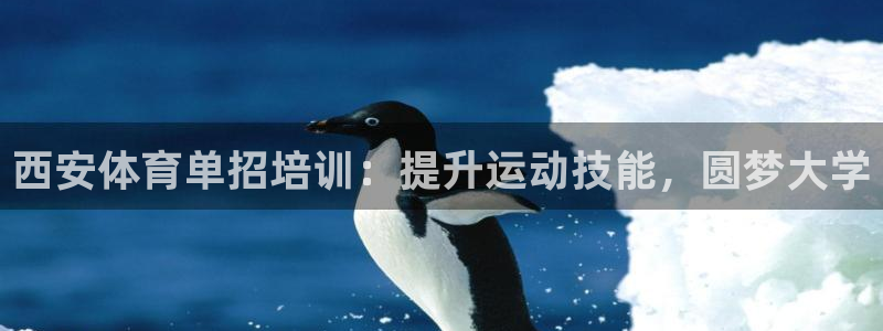 欧陆娱乐怎么注册帐号：西安体育单招培训：提升运动技能