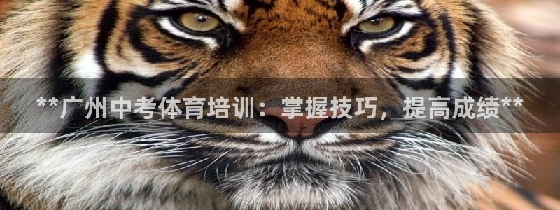 欧陆娱乐安全?：**广州中考体育培训：掌握技巧，提高