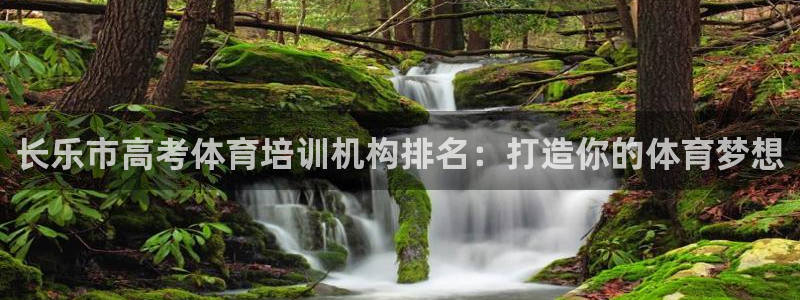 欧陆娱乐的故事有哪些：长乐市高考体育培训机构排名：打
