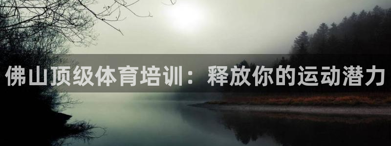 欧陆娱乐中国：佛山顶级体育培训：释放你的运动潜力