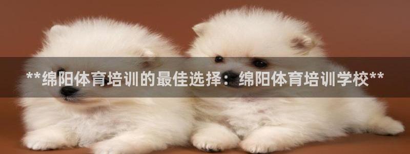 欧陆娱乐是什么：**绵阳体育培训的最佳选择：绵阳体育