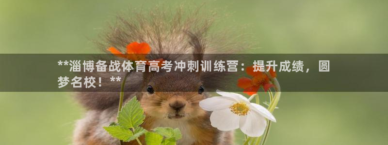 欧陆娱乐计划预测软件哪个好：**淄博备战体育高考冲刺