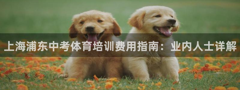 欧陆娱乐登陆官网入口：上海浦东中考体育培训费用指南：