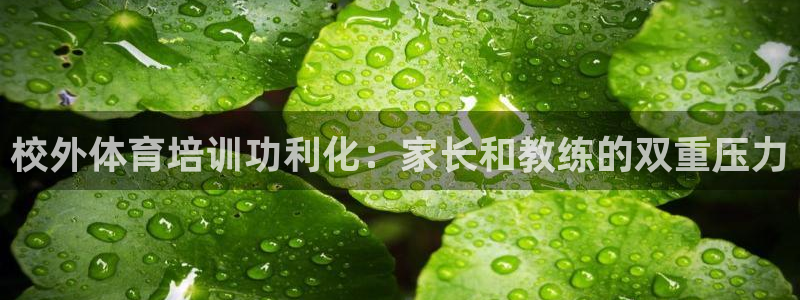 欧陆娱乐测速软件下载：校外体育培训功利化：家长和教练