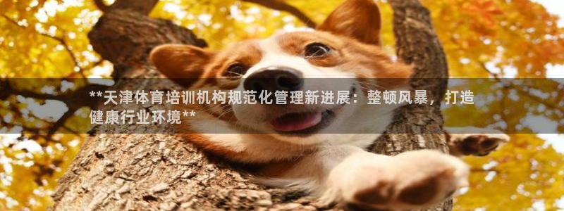 欧陆娱乐注册链接怎么弄的：**天津体育培训机构规范化