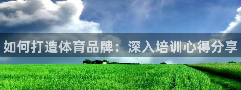 欧陆娱乐有限公司官网：如何打造体育品牌：深入培训心得
