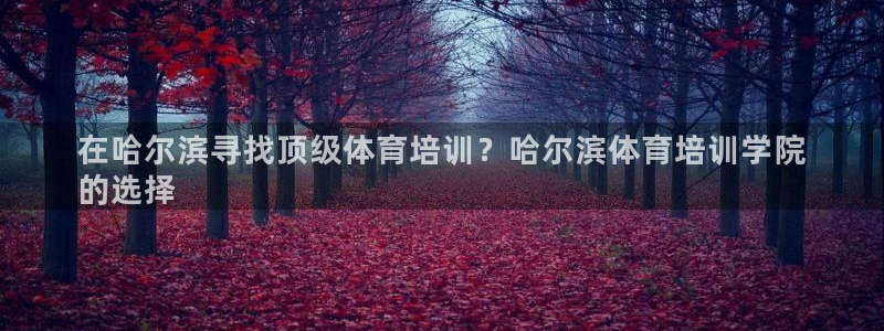 欧陆娱乐计划预测软件有哪些：在哈尔滨寻找顶级体育培训
