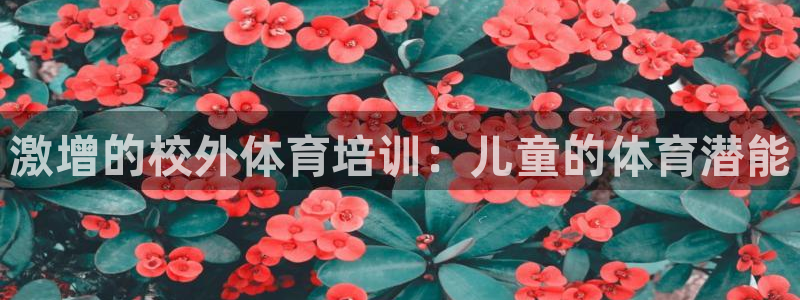 欧陆娱乐挂机怎么玩游戏：激增的校外体育培训：儿童的体