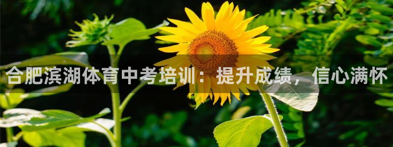 欧陆娱乐注册链接安全吗可靠吗：合肥滨湖体育中考培训：