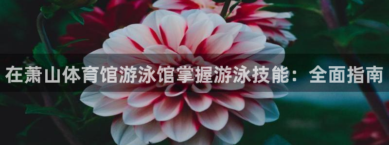 欧陆娱乐注册代理：在萧山体育馆游泳馆掌握游泳技能：全