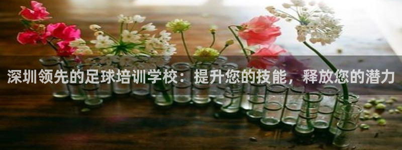 欧陆娱乐共创美好时刻：深圳领先的足球培训学校：提升您