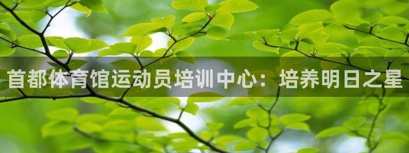 欧陆娱乐共创美好：首都体育馆运动员培训中心：培养明日