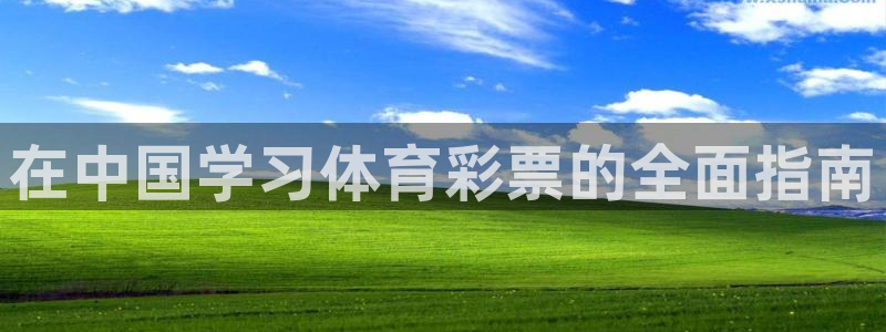 欧陆娱乐官方下载安装：在中国学习体育彩票的全面指南