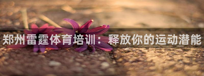 欧陆娱乐脚本下载：郑州雷霆体育培训：释放你的运动潜能