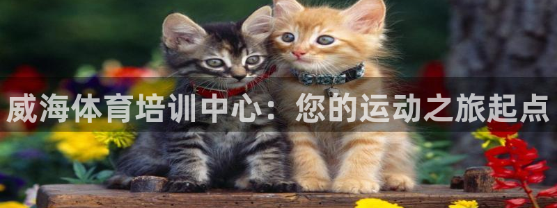 欧陆娱乐怎么注册账号啊：威海体育培训中心：您的运动之