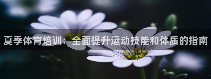 欧陆娱乐计划预测软件哪个好：夏季体育培训：全面提升运