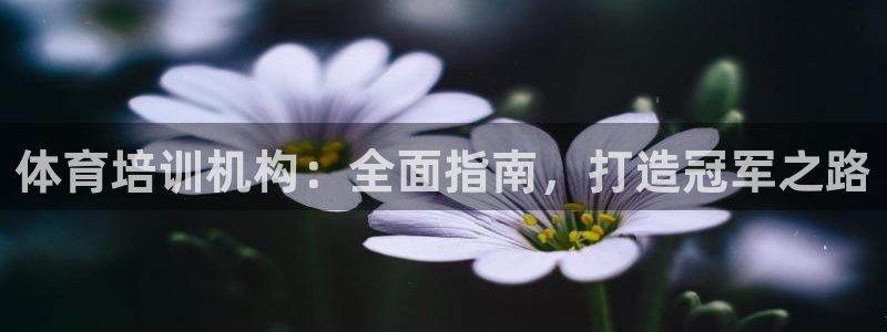 欧陆娱乐平台咋样赚钱：体育培训机构：全面指南，打造冠