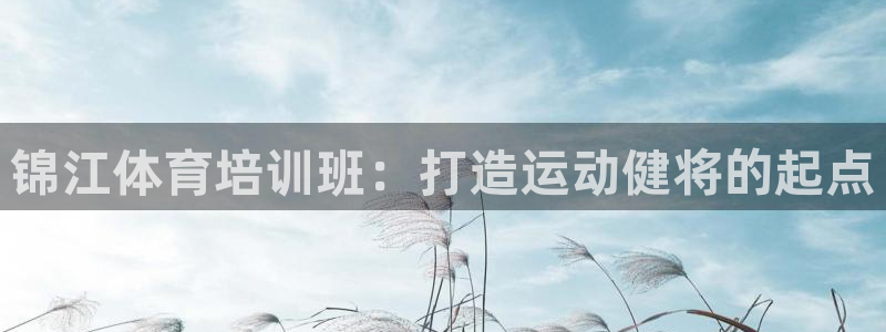 欧陆娱乐访问：锦江体育培训班：打造运动健将的起点