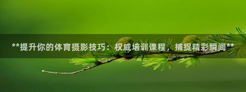 欧陆娱乐登录测速网站：**提升你的体育摄影技巧：权威