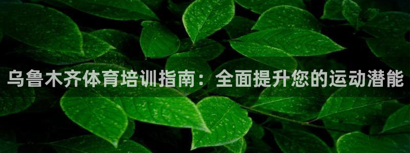 欧陆娱乐平台官网入口：乌鲁木齐体育培训指南：全面提升