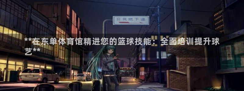欧陆注册登录入口：**在东单体育馆精进您的篮球技能：全面培训