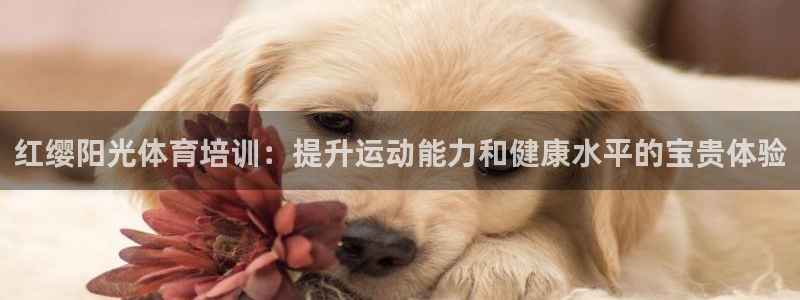 欧陆娱乐总代理电话：红缨阳光体育培训：提升运动能力和
