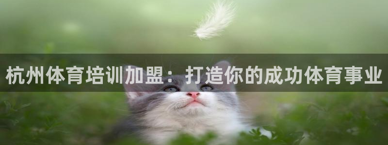 欧陆娱乐里面怎么看打排五：杭州体育培训加盟：打造你的