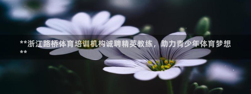 欧陆娱乐官网首页网址：**浙江路桥体育培训机构诚聘精
