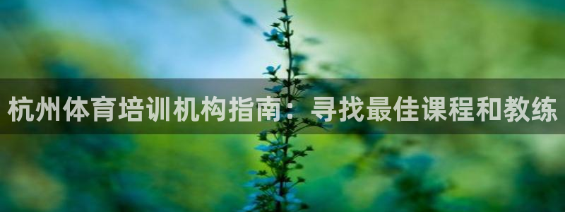 欧陆娱乐太阳：杭州体育培训机构指南：寻找最佳课程和教