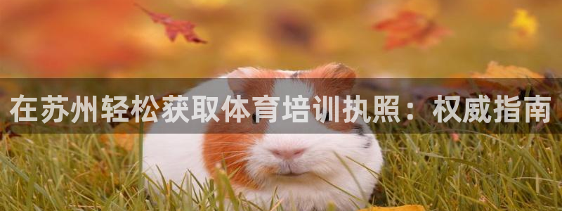 欧陆娱乐平台登陆地址是什么意思：在苏州轻松获取体育培