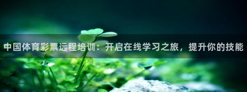 欧陆论坛：中国体育彩票远程培训：开启在线学习之旅，提
