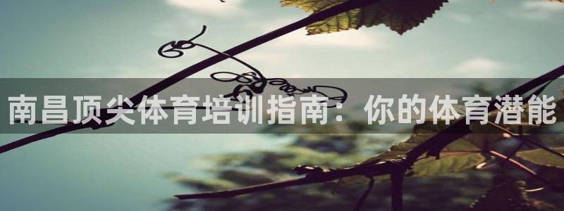 欧陆娱乐计划app官方正版安装下载：南昌顶尖体育培训
