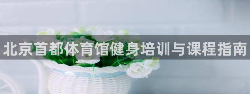 欧陆商城：北京首都体育馆健身培训与课程指南