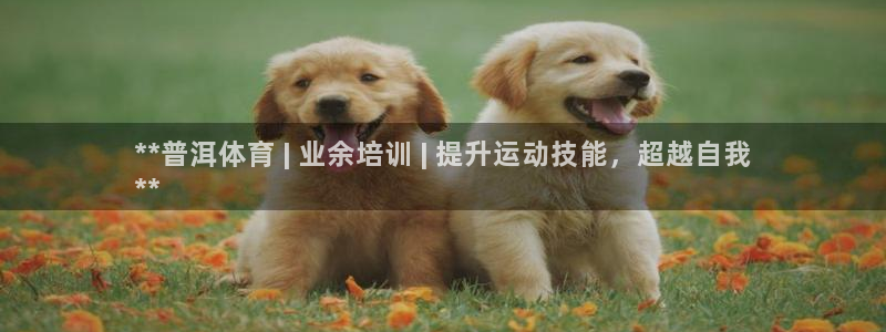 欧陆娱乐挂机怎么玩：**普洱体育 | 业余培训 | 提升运动